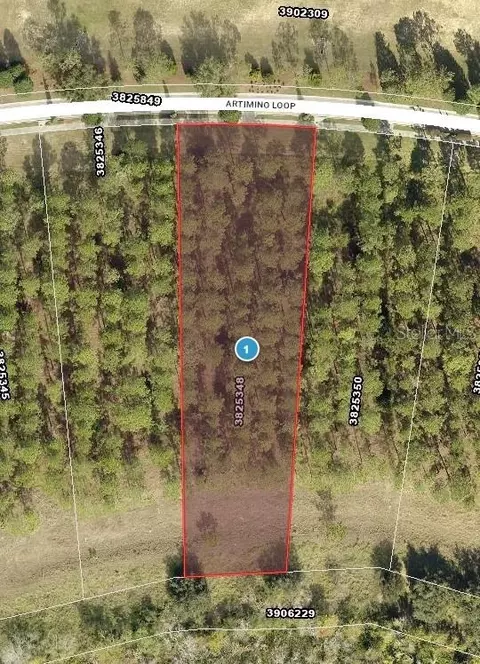 16748 Artimino Loop, Bella Collina, FL 34756