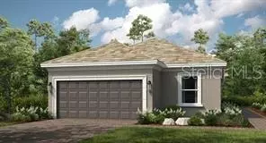3917 Fraccareta Way, Wesley Chapel, FL 33543