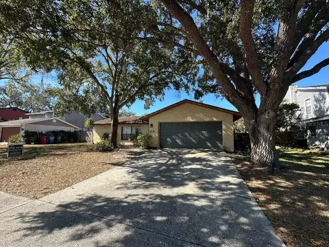 4305 Ellenville Pl, Valrico, FL 33596