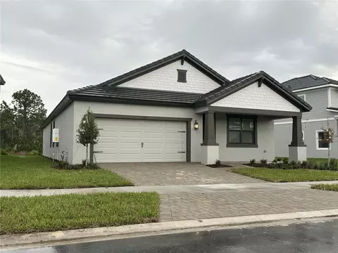 22806 Sills Loop Wise Riv, Zephyrhills, FL 33541