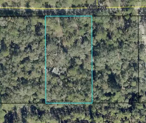 6549 Fruit Ave, Bunnell, FL 32110