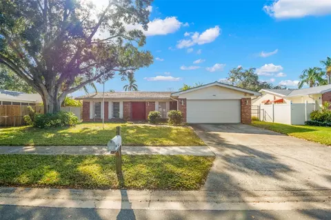 1950 Egret Dr, Palm Harbor, FL 34683