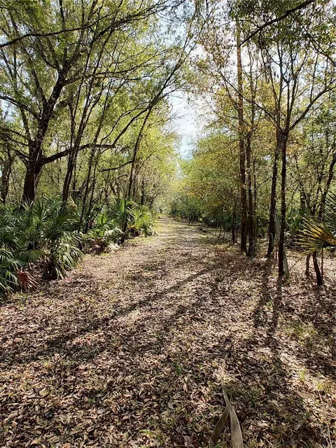 1991 NW Girl Scout Rd, Arcadia, FL 34266