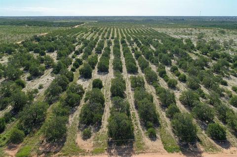 Platt Road, Frostproof, FL 33843