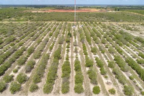 1420 L Flood Rd, Frostproof, FL 33843