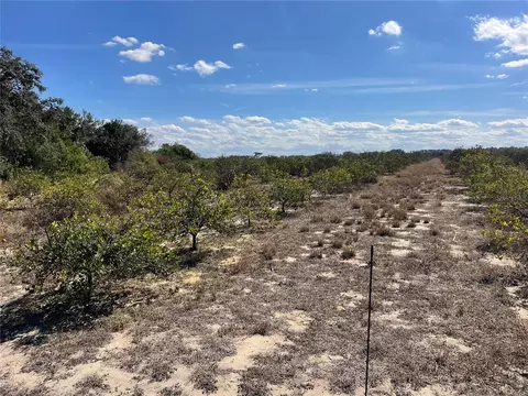 Lawrence Stewart Road, Frostproof, FL 33843