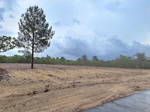 Deer Road, Frostproof, FL 33843