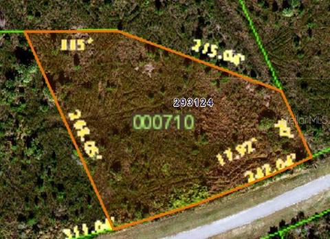 Meadowlark Boulevard, Lake Wales, FL 33898