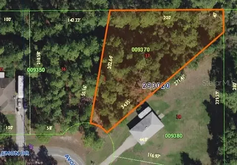 Avacado Drive, Lake Wales, FL 33898