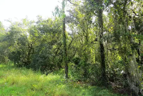 Blue Jordan Road, Frostproof, FL 33843
