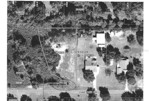 Pinetree Drive, Lake Wales, FL 33898