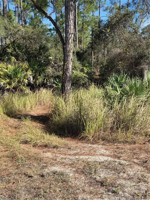 1351 R E Byrd Rd, Frostproof, FL 33843