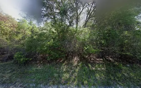 NE 799th Street, Old Town, FL 32680