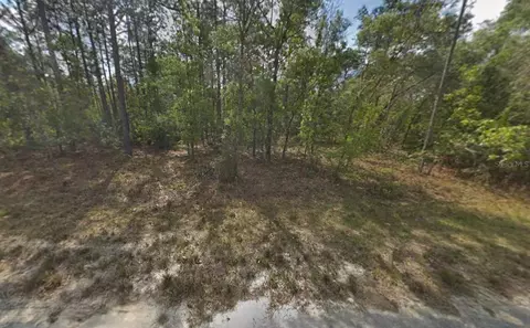 Resort Avenue, Weeki Wachee, FL 34614