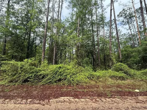 Seminole Avenue, Interlachen, FL 32148