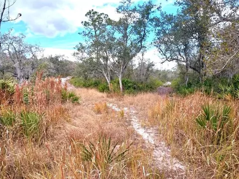 701 Gopher Trl, Frostproof, FL 33843 photo 2