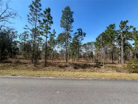 Water Oak Avenue, Dunnellon, FL 34431