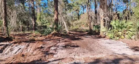 120 Gardenia Ave, Georgetown, FL 32139