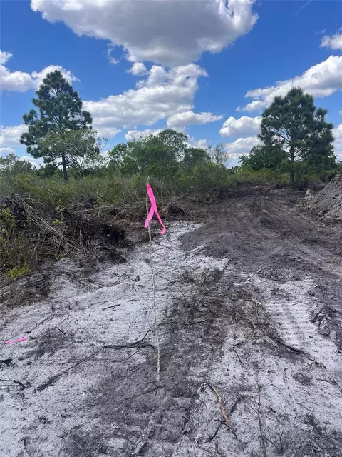 16219 NW 282nd St, Okeechobee, FL 34972 photo 6