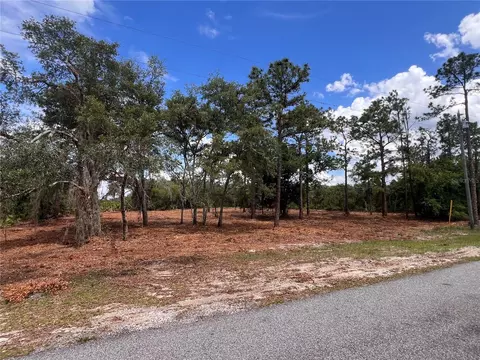 Deer Road, Frostproof, FL 33843