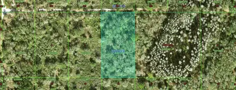 Inaccessible Tract, Kathleen, FL 33849
