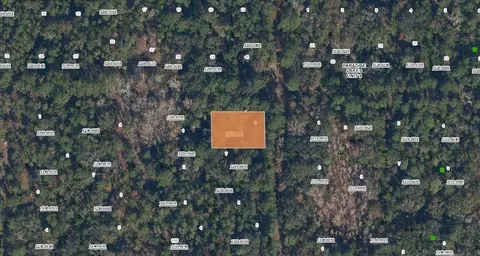 Spruce Drive, Georgetown, FL 32139