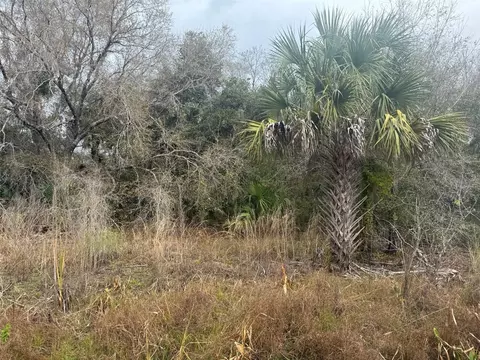 17667 NW 254th St, Okeechobee, FL 34972