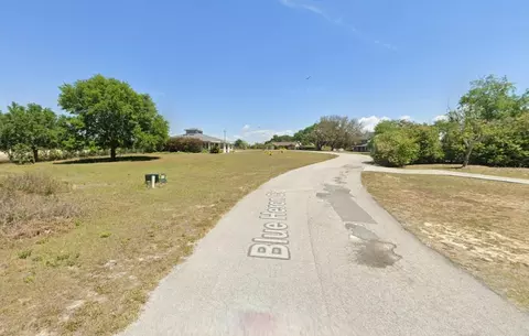 lot8 Blue Heron Ct, Clermont, FL 34711 photo 2