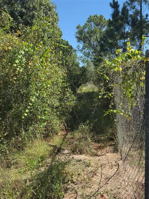 Deer Road, Frostproof, FL 33843 photo 5