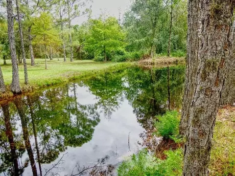 View/Area - 1001 Mcclellan Rd, Frostproof, FL 33843 photo 1 of 2