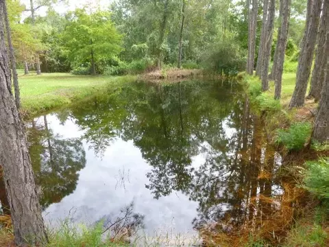 Other - 1001 Mcclellan Rd, Frostproof, FL 33843 photo 11 of 20