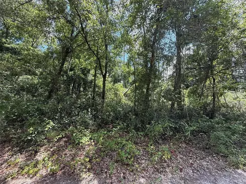 313 Calhoun Ave, Florahome, FL 32140 photo 2
