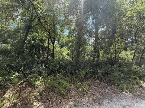 313 Calhoun Ave, Florahome, FL 32140 photo 4