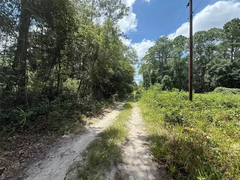 313 Calhoun Ave, Florahome, FL 32140 photo 3