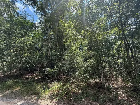 313 Calhoun Ave, Florahome, FL 32140 photo 6