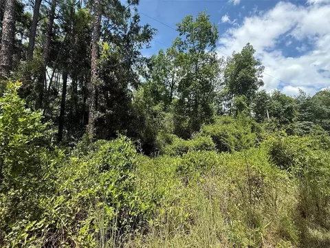313 Calhoun Ave, Florahome, FL 32140 photo 7