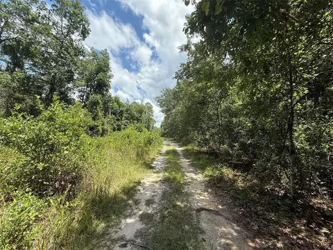 313 Calhoun Ave, Florahome, FL 32140 photo 5
