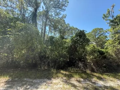337 Palm Way, Georgetown, FL 32139 photo 6