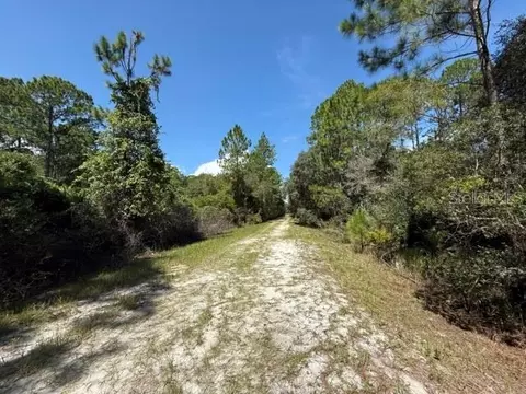 337 Palm Way, Georgetown, FL 32139 photo 2