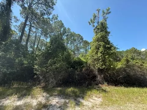 337 Palm Way, Georgetown, FL 32139 photo 3