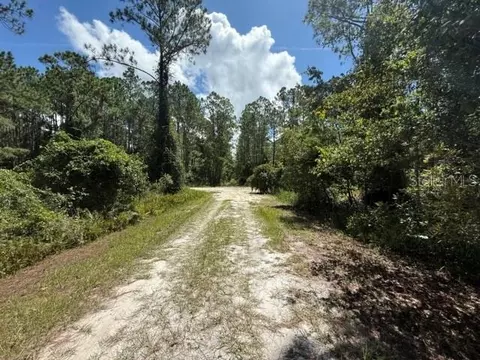 337 Palm Way, Georgetown, FL 32139 photo 5