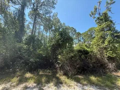 337 Palm Way, Georgetown, FL 32139 photo 4