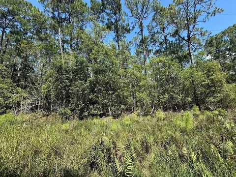 210 SE 2nd St, Georgetown, FL 32139 photo 4