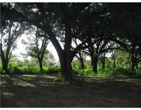 1804 E Wheeler Rd, Seffner, FL 33584 photo 1