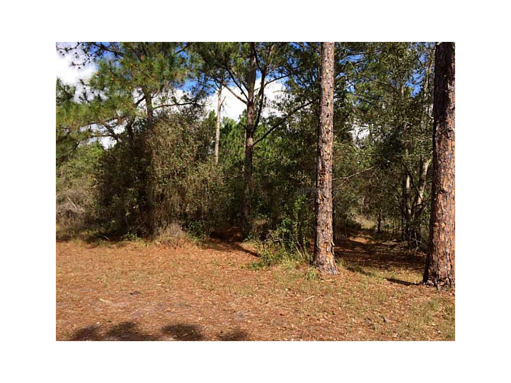 2710 Pine Needle Dr, Sebring, FL 33875 photo 1