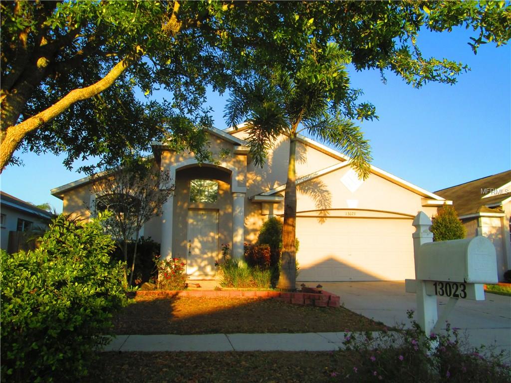 13023 Tribute Dr, Riverview, FL 33578 photo 1