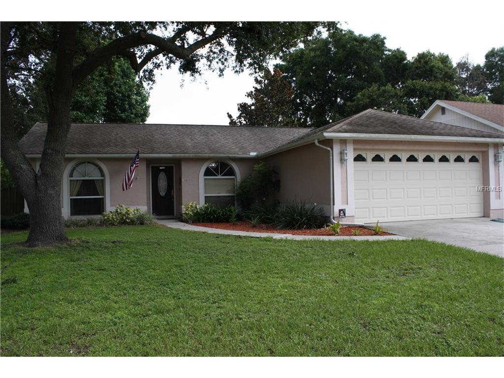 502 Rapid Falls Dr, Brandon, FL 33511 photo 1