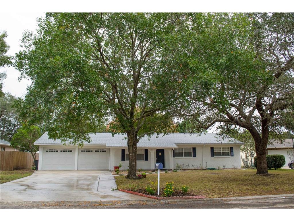 1407 Dee Ann Dr, Brandon, FL 33511 photo 1