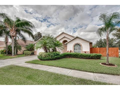 6635 Thackston Dr, Riverview, FL 33578 photo 1