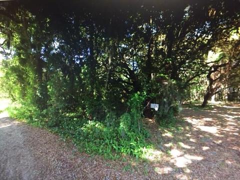 1172 Mill St, Gotha, FL 34734 photo 1